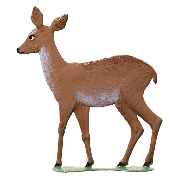 CM14 R Mama Doe CM14 R Mama Doe