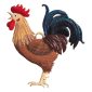 EO18 R Rooster Ornament