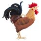 EO18 Rooster Ornament