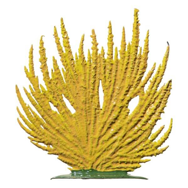 FC24 R Forsythia FC24 R Forsythia