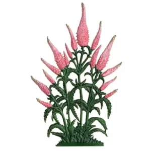 FC28B Long Leafed Pink Veronica Flowers