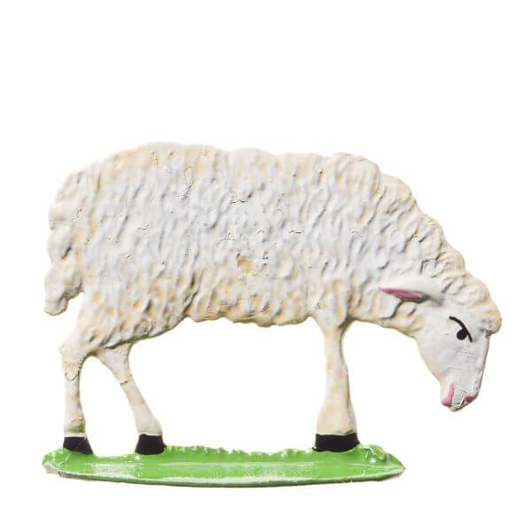RC06 NS Sheep Head Down KS 14 RC06 NS Sheep Head Down KS 14