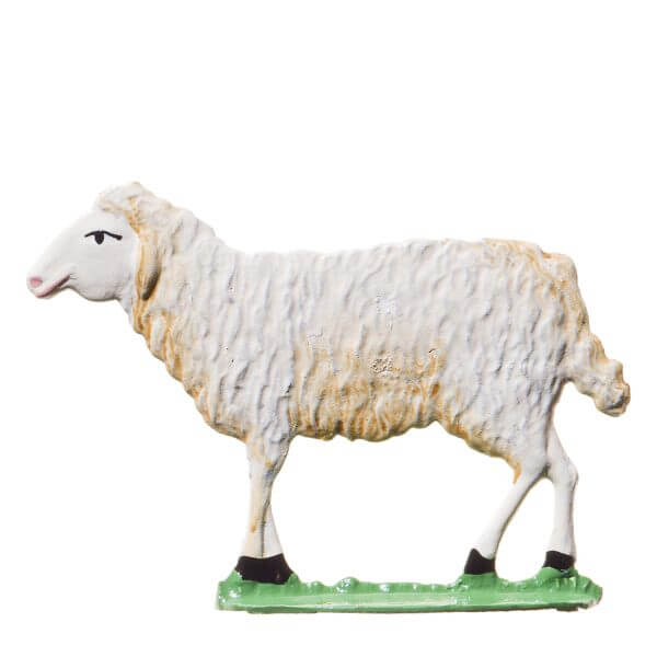 RC06 NS Sheep Head Up KS 13 RC06 NS Sheep Head Up KS 13