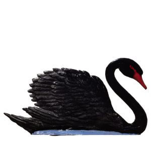 SO34B Black Swan