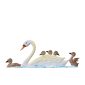 SO39 R Swan Family