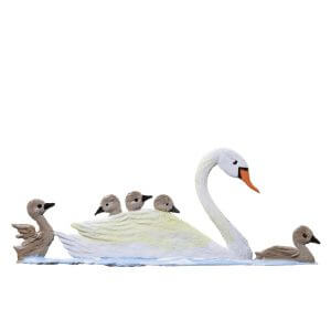 SO39 Swan Family