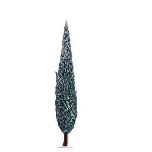 TC18W Small Winter Cypress Tree.