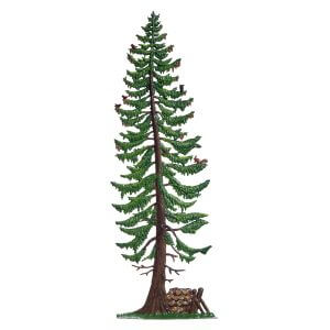 TC19S Summer Woodland Pine Tree