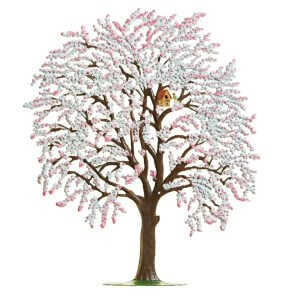 TC20PP Weeping Cherry Tree Pink