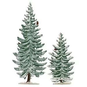 TC21W Winter Slender Pines
