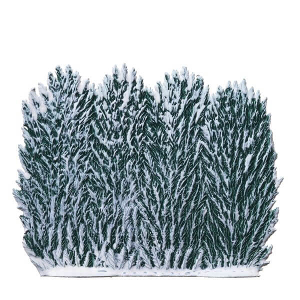 TC25W R Winter Hedge TC25W R Winter Hedge