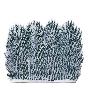TC25W Winter Hedge